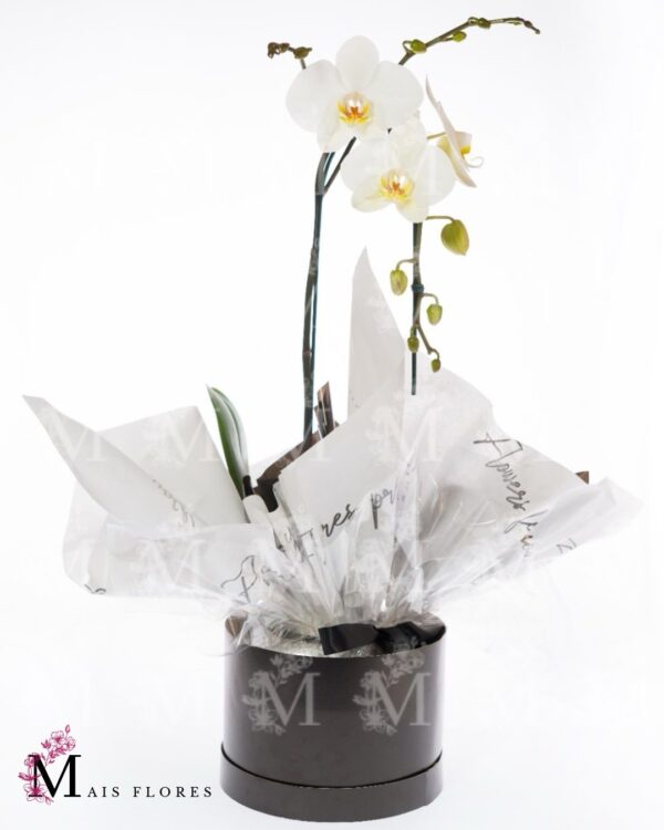 Box especial de orquídeas- Black Box