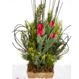 Arranjo de tulipas Premium em cachepot