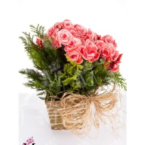 Vaso plantado de Begonias
