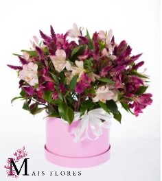 Box especial de flores nobres