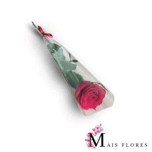 Rosas Individuais