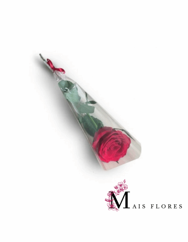 Rosas Individuais