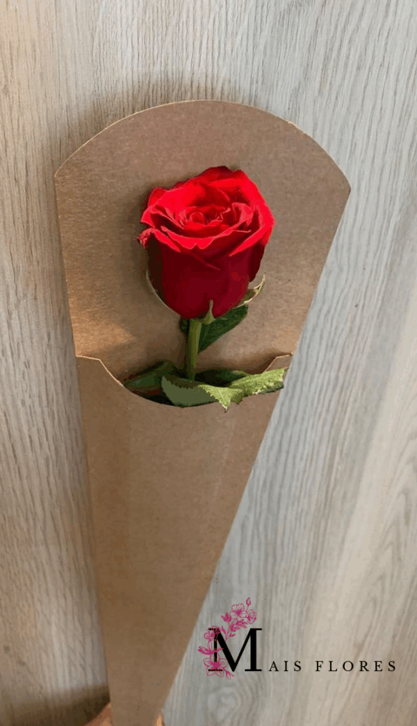 Rosas Individuais - Imagem 2