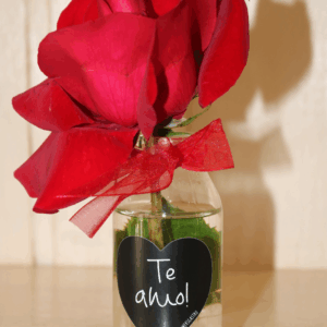 Delizadeza em flores (consulte a flor, e mensagem disponível do dia)