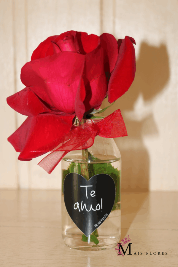 Delizadeza em flores (consulte a flor, e mensagem disponível do dia)