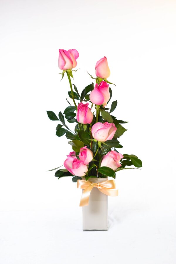 Mais rosas e Mais cores - Imagem 3