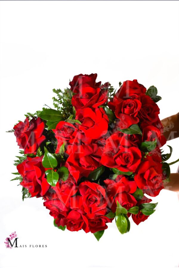 Buque 24  rosas colombianas importadas