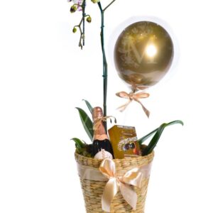 Orquídea Especial com  bombons e espumante.