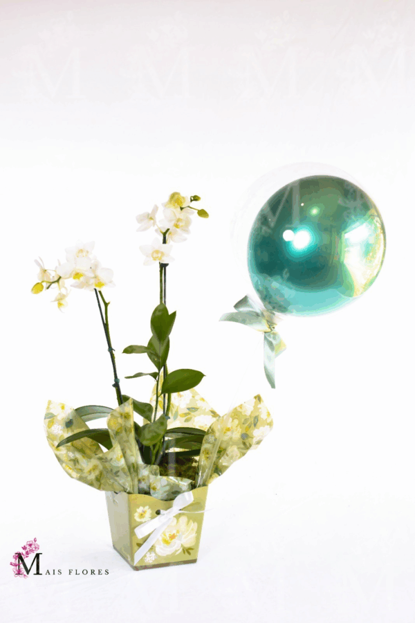 Mini orquídeas  em embalagem caixinha florida - Imagem 2